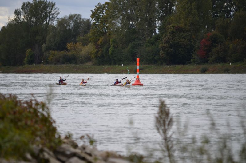 Schuelermannschaft auf dem grossen Rhein mit ihrem Trainer: Florian Spaeth, Robert Fricke, Emil Hoch, Santiago Fricke (v.l.) Schuelermannschaft auf dem grossen Rhein mit ihrem Trainer: Florian Spaeth, Robert Fricke, Emil Hoch, Santiago Fricke (v.l.)