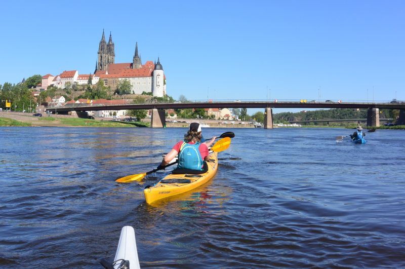 Kajaks auf der Elbe vor der Stadtkulisse von Dresden